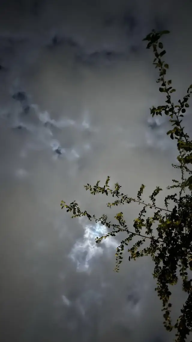 #❤️‍ #trendingvideo 