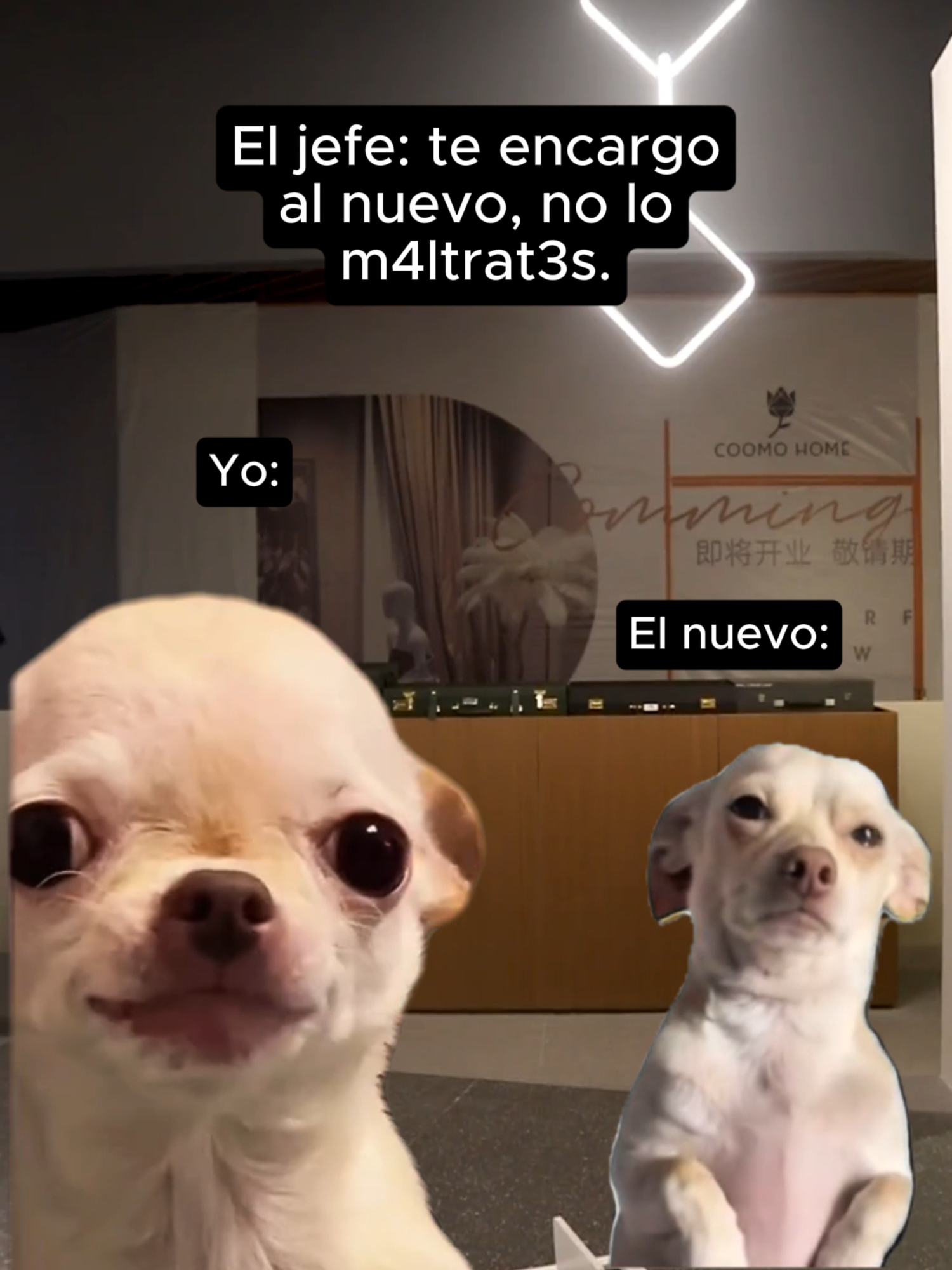 Prometo no maltratarlo... solo enseñarle “a la vieja escuela” 😌 (Esa donde se aprende a sobrevivir con trauma y café frío ☕️😂)