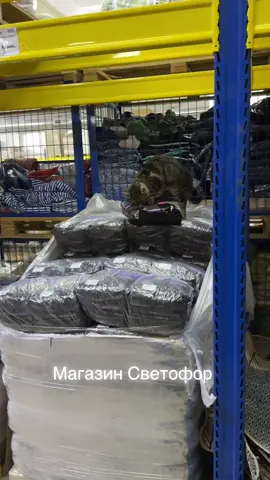 Воришка в светофоре!