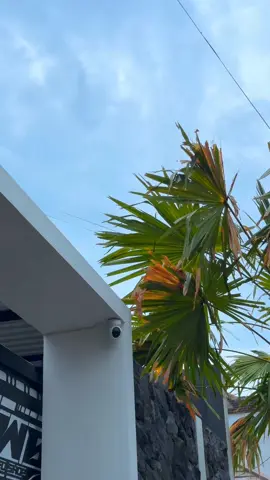 Kurang sak srittt 🤏 #kwbspeedshop #2strokepasuruan #serpico150ช่างนุขลอง6 #serpico150_thailand #serpico150 