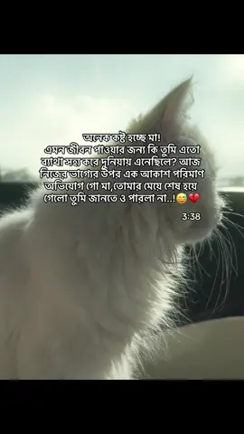 #CapCut #vairal_video_tiktok #captionstory #sadcontent #tiktokviral 