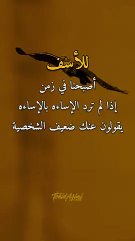 للأسف 👌✋ #عبارات #امير #اكسبلورexplore 