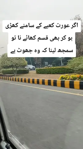 #creatorsearchinsights #fypシ゚viral🖤tiktok #foryoupageofficiall #foryou #foryoupage 