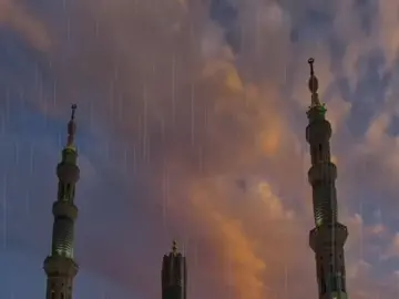 حساب بدون موسيقى 🌿🤍 #حن_قلبي_له_فاض_شوقاً_اليه #راحة_نفسيه💚 #الريتش_في_ذمه_الله💔 #ɴᴏ_ᴍᴜꜱɪᴄ 