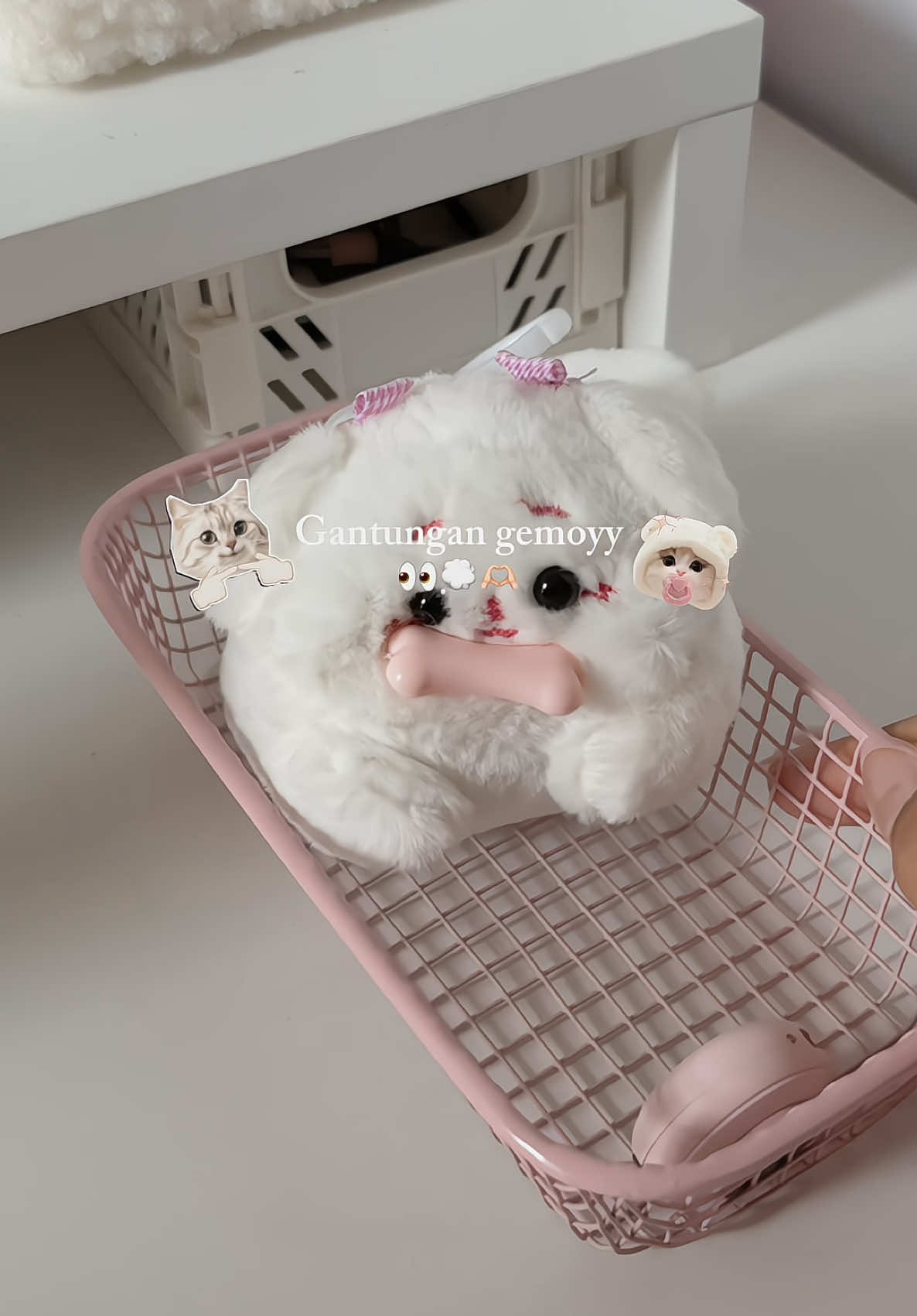 Emng bolee segemoyy ini!!! #bagcharm #keychain 