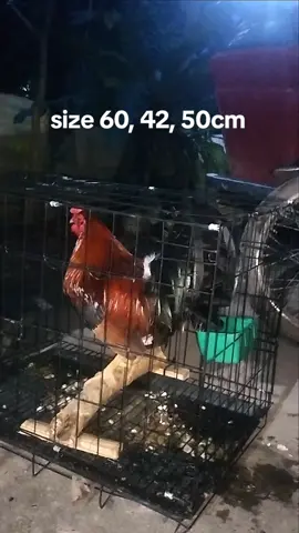 foldable pet cage large 60, 42 50cm ang size.