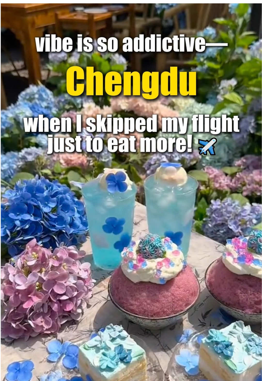Still wandering is Chengdu a good holiday destination? Check the video you’ll find out. DM me with group size +trip plan, I’ll send full itinerary! #china #chinatravel #travel #chinavisa #sundatravel 