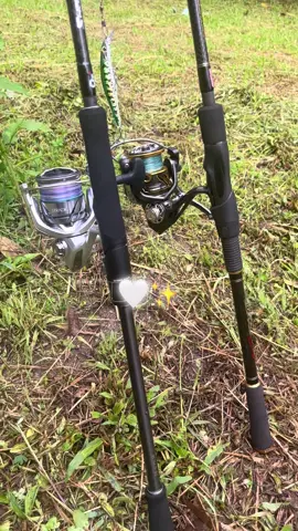 🤍✨🎣 #ตีเหยือปลอมชายฝั่ง🤟 #ตกหมึก #ตีปลาสากชายฝั่ง #shimanostradic #วัยรุ่นชายฝั่ง🎣 