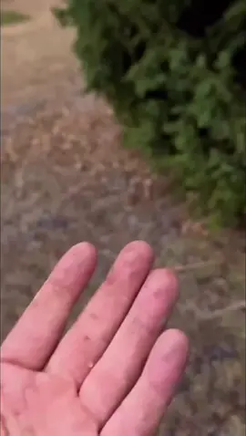 Не забываем греться🔥