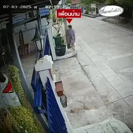 หัวจะปวด! เพื่อนบ้านสุดเอือมป้ามหาภัย ชอบเทขยะเกลื่อน-ตัดกิ่งไม้โยนขวางถนน-บีบแตรลากยาวดังสนั่น สร้างความเดือดร้อนมานานกว่า 2 ปี เข้าแจ้งความ 11 ครั้ง คดียังเงียบกริบ #เรื่องเล่าเช้านี้ #ข่าวช่อง3 #ข่าวภูมิภาค #นนทบุรี #ป้ามหาภัย