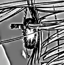 Seiya Enomoto💀#一勝千金 #starstrikeitrich #実話 #truestory 