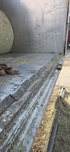 #mczyryca#Kaszub_z_Bytowa 