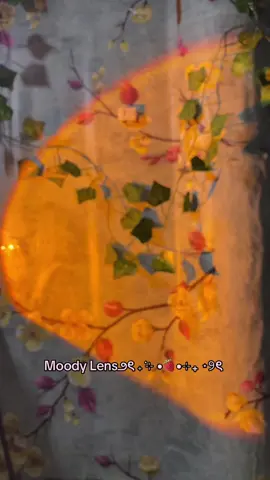 #moodylens #lensxinh #makeup #lens 