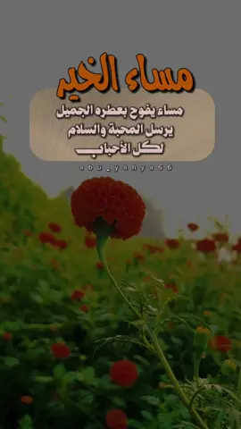 #مساء_الخير #مساء_الحب_والسعاده 