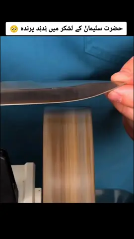 Hazrat Suleman (A.S) Ke Lashkar Mein Hudhud Parinda Tha 🥺😭👀🥀 Best Bayan of Peer Ajmal Raza Qadri Sahab 🥰  New Trending Latest Waqia Bayan 💫 Ajmalrazaqadri Full Emotional Waqia Bayan  Full Emotional Waqia Bayan 😭 #unfreezemyaccount #unfreezemyaccount  #foryou #tiktok #viral 