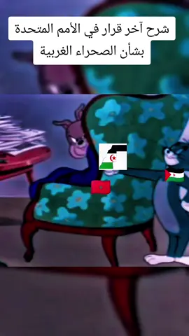 شرح آخر قرار في الأمم المتحدة بشأن الصحراء الغربية#شعب_الميمز_ماله_حل🤣🤣 #فرنسا🇨🇵_بلجيكا🇧🇪_المانيا🇩🇪_ا #algeria #المغربيات_أجمل_نساء_الكون🇲🇦مغربيةوافتخر #شعب_الصيني_ماله_حل😂😂 