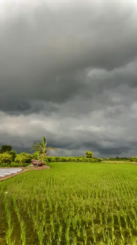 Setengah mendung setengah cerah#vibes #estetik #sorehari #langitentertainment 