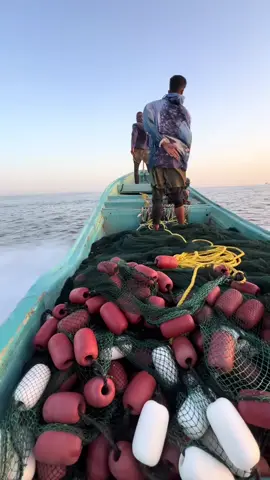 Hadii aad taQaano qof Shaqadan Ka shaqeeya Soo @Mention Garee si aan usaaxibno Lphx?😅💫🙏 #fypシ゚viral  #Wanderlust  #beach  #TravelTikTok  #fish  @Taliye Dayax  @Horseed🌊🦁⛱️💔  @atoraha booliska🇺🇸  @aadan c rashiid💚🤍❤️  @Uk☕️  @Abdirahman ismacil  @ApdikariiM 🔥  @adkaha lughaya 💪👮🏠  @Captain_Qiiro  @Anna 🐒🐒🐟  @ABDIRAHMAAANOZ 🔞  @aamiin Sharma  @ahmett🕸🔥💨  @ali jamac habil  @anwer  @anisasead12  @GOOSHASAAXIL❤️🦍  @ApduLzaLaM BergeL 🔥 🦁  @asmadheeman1  @BLACK ⚫️ 🐈‍⬛️ MAN  @bahja apdirham  @barni❤️🧕  @bariyey abdal🫀🥰❤️  @Bilicda Badda 🐬🇸🇱  @Birta nool 1  @cabdisalaan886 