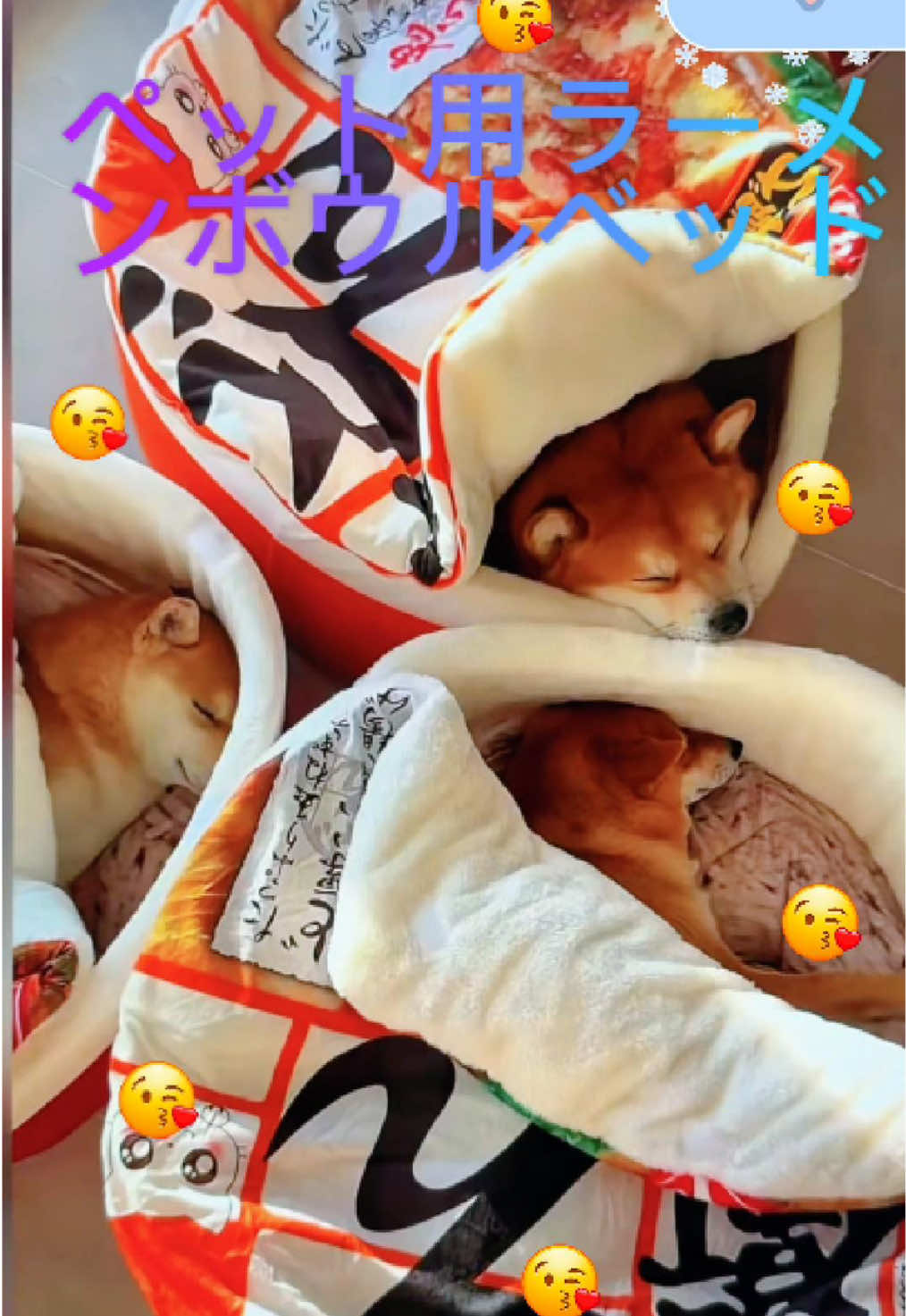 早くこのカップラーメンの猫小屋を買わなかったことを後悔して、うちの子犬は本当に好きです#ねこ #ラーメン屋 #犬 #猫の巣 