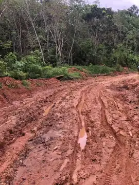 😶 #fyp #otomotif #crf150l #klx150 #wr155 