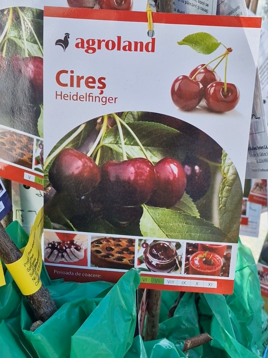 #fruit #garden #fresh #gardening #delicious 