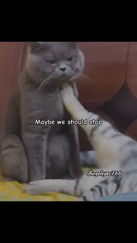 #onthisday we should stop 