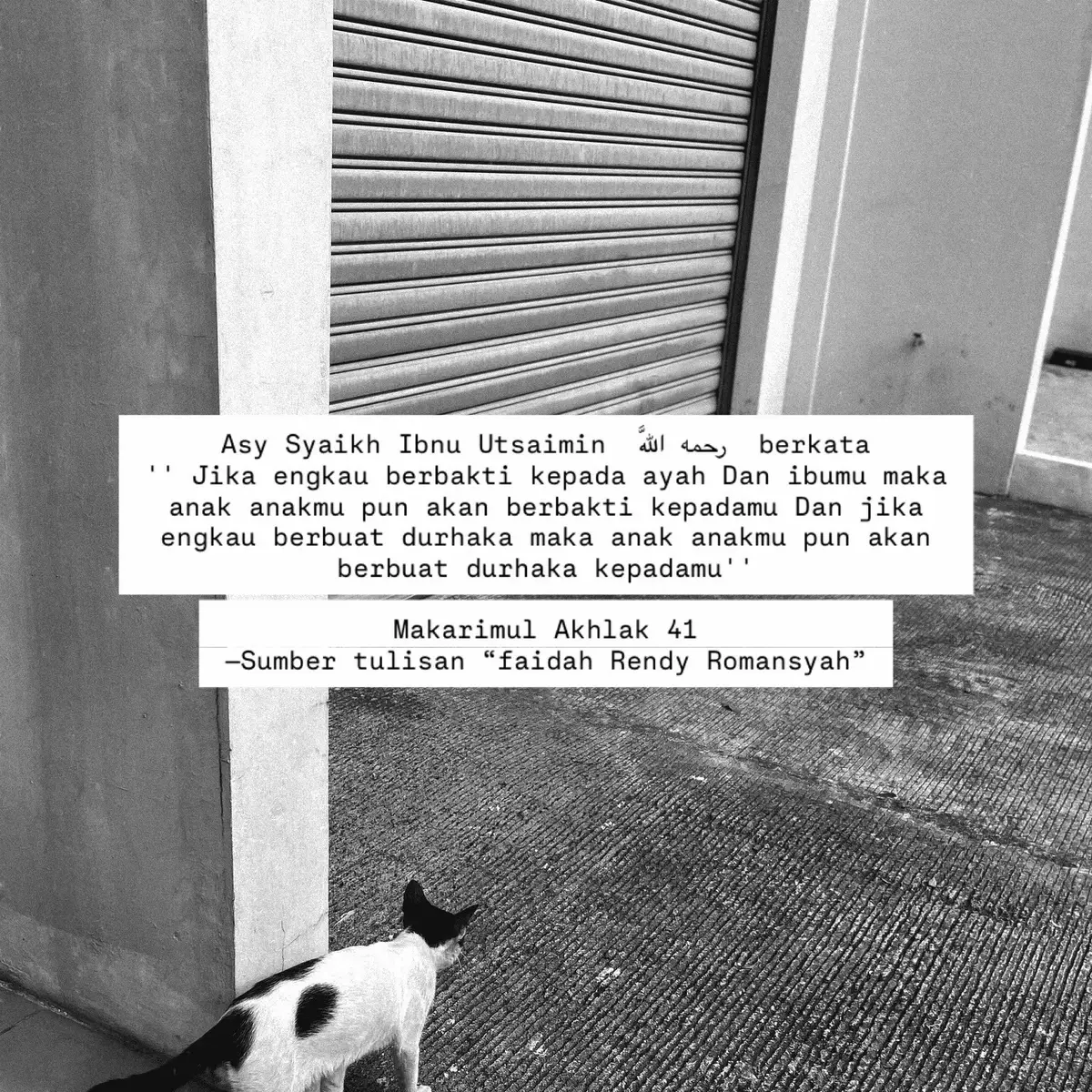 #reminder #nasihat #muslimah 