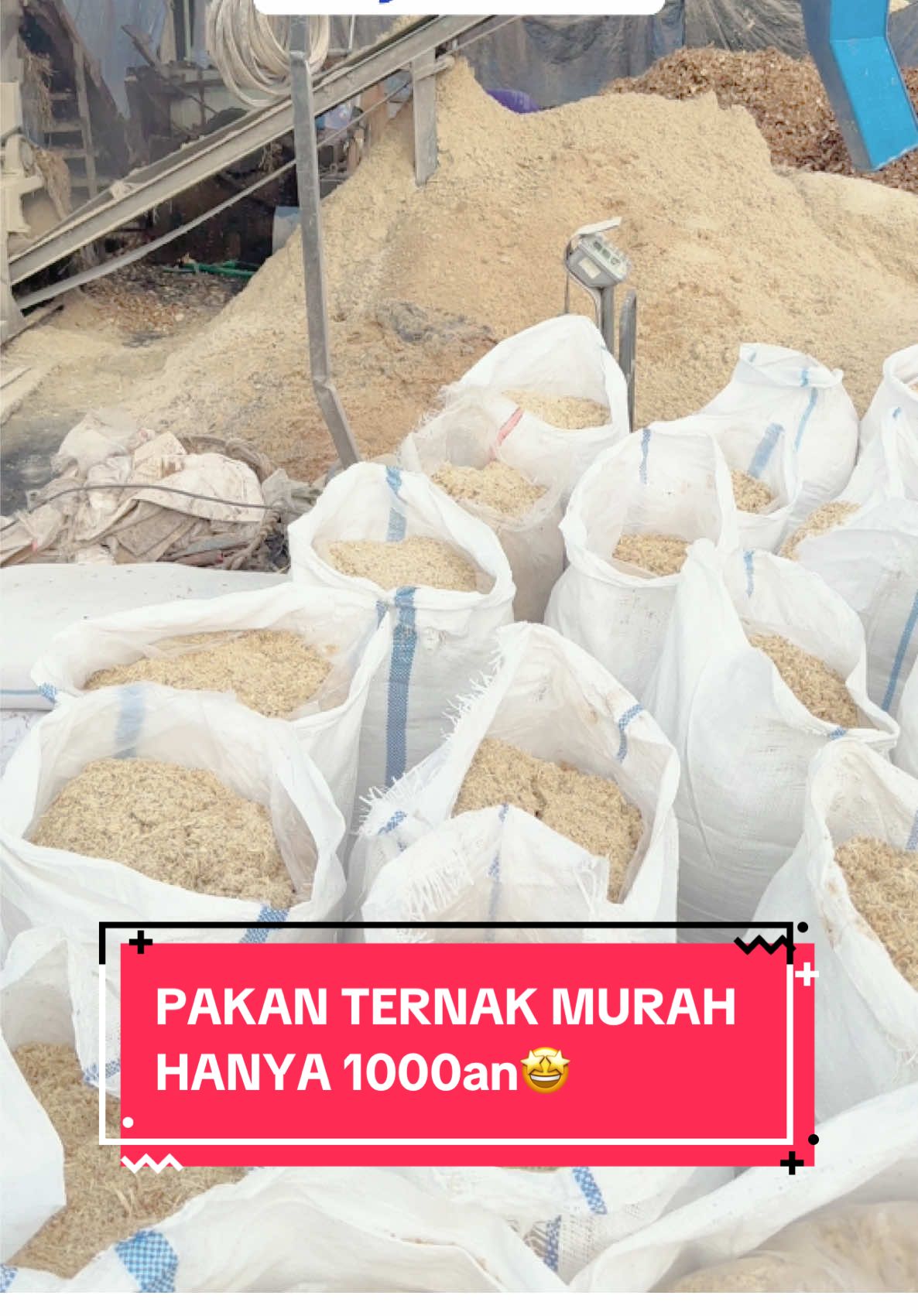 Pakan ternak murah hanya 1000an