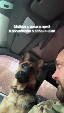 #жопиня #малявка #собака #вівчарка #loveyou 