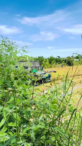 นิ่มๆ #ศนิวรรณ  #รถดั้มเมืองขุขันธ์ #เทรนด์มาแรงในtiktokวันนี้ #สุธาคินการช่าง 