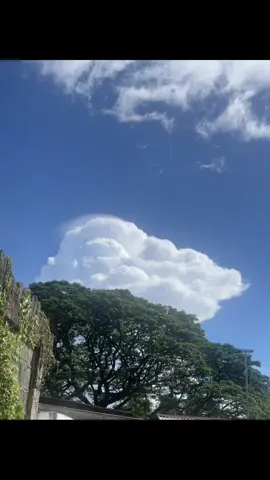 FREE TO USE (no ptu) #fypシviral #gow #livephoto 