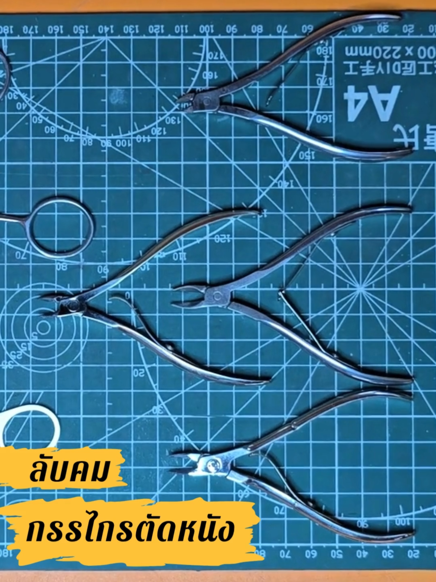 ลับคมรัชโยธิน_กรรไกร&กรรไกรตัดหนัง ร้านลับคมรัชโยธิน สอบถาม ปรึกษาเรื่องลับ...ลับคม ลับทุกอย่างที่มีคม สนใจสอบถามเพิ่มเติมได้ทาง Inbox #ลับคม #ลับคมปัตตาเลี่ยน #ลับคมกรรไกร #ลับคมมีด #ตัดผมชาย #เรียนตัดผม #เรียนเสริมสวย #อาบน้ําตัดขนสุนัข #เรียนตัดขนสุนัข #ลับคมรัชโยธิน #เทรนด์วันนี้ @ผู้ติดตาม #garden #เทรนด์ฮิตวันนี้ #เทรนด์วันนี้tiktok #ร้านดอกไม้ #billionviews #1000millionlikes #ร้านจัดดอกไม้ #barbershopconnect #ลับทุกอย่างที่มีคม #cooking #ลับคมมีด #ลับคมกรรไกร #ลับคมปัตตาเลี่ยน #ลับคมรัชโยธิน #ร้านตัดผ้า #tralier #อาบน้ําตัดขนสุนัข #เรียนเสริมสวย #อาหารไทย #handmade #barbershop