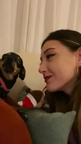 Is your dog jealous too 🤣🥰🐶#dog #dogsoftiktok #funny #funnyvideos #foryou 