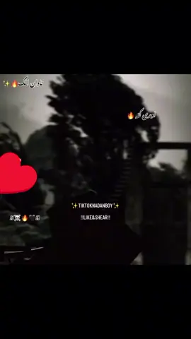 #@👳KPK TUR GUL👿 @toor gull @🫰TorGul 🫵gang war🫵 @تورگل شانگلہ Tor gull Shangla @badnam.alak115 