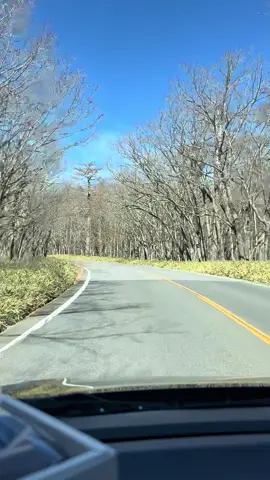 #tapxaykênh,,mn đi qua cho e xin 1fl ạ.