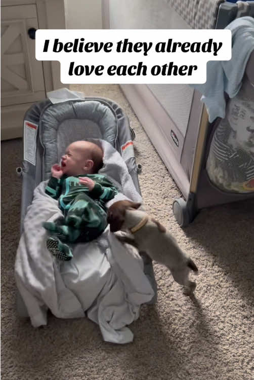 Best friends 🥰#baby #dog #pet #Love #friends #lovestory #dogsoftiktok #babiesoftiktok #foryou #usa🇺🇸 