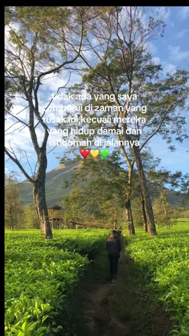 🇯🇲🇯🇲🇯🇲#styleyoman❤💛💚 #onelove #zonayoman 