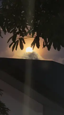 November 5, 2025 | 5:49pm | BEAVER MOON 🌕  #fyp #fullmoon #beavermoon #supermoon2025 