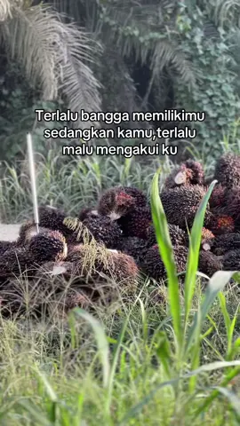 #berandatiktok #petanisawit🌴 #granmaxpickup #lewatberanda #justkontenツ 