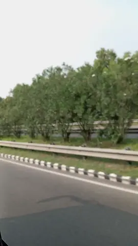 #💓😻💝😘💖😍💞🤍💘❤️🖤❣️🧡💟💛🥰😁💚🤩💕💌💞😍💓💗😻💖💙💜🤎🖤🤍❣️💟🥰 