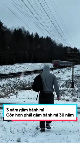 3 năm gặm bánh mì Còn hơn phải gặm bánh mì 30 năm #donglucmoingay✨ #motivation #hoccungtiktok #kienthuc #phattrienbanthan 