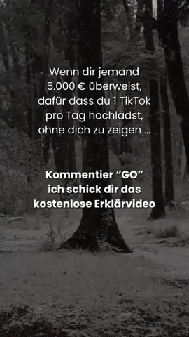 Wenn du 2 Videos am Tag postest und dafür bezahlt wirst – würdest du’s tun? 💬 Kommentier „GO“ für das Erklärvideo