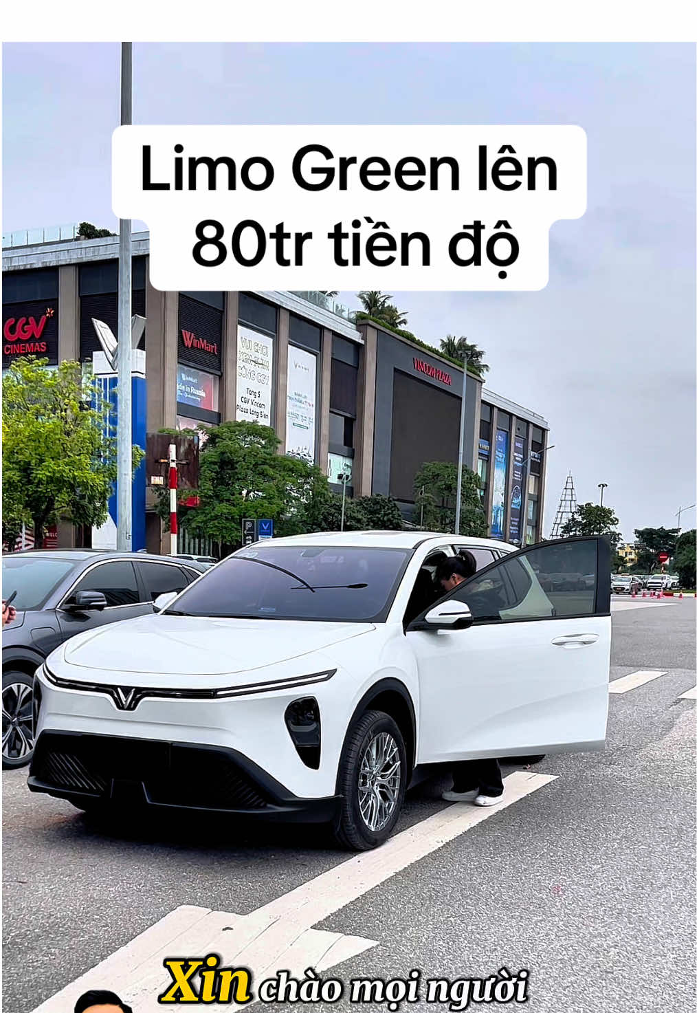 Thêm 80tr để độ thì LIMO GREEN sẽ sịn như thế nào? #vinfast #vanhuyvinfast #limogreen 
