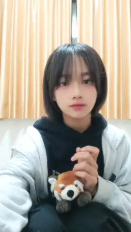 レッサーパンダのぬいぐるみかわいーでしょー！