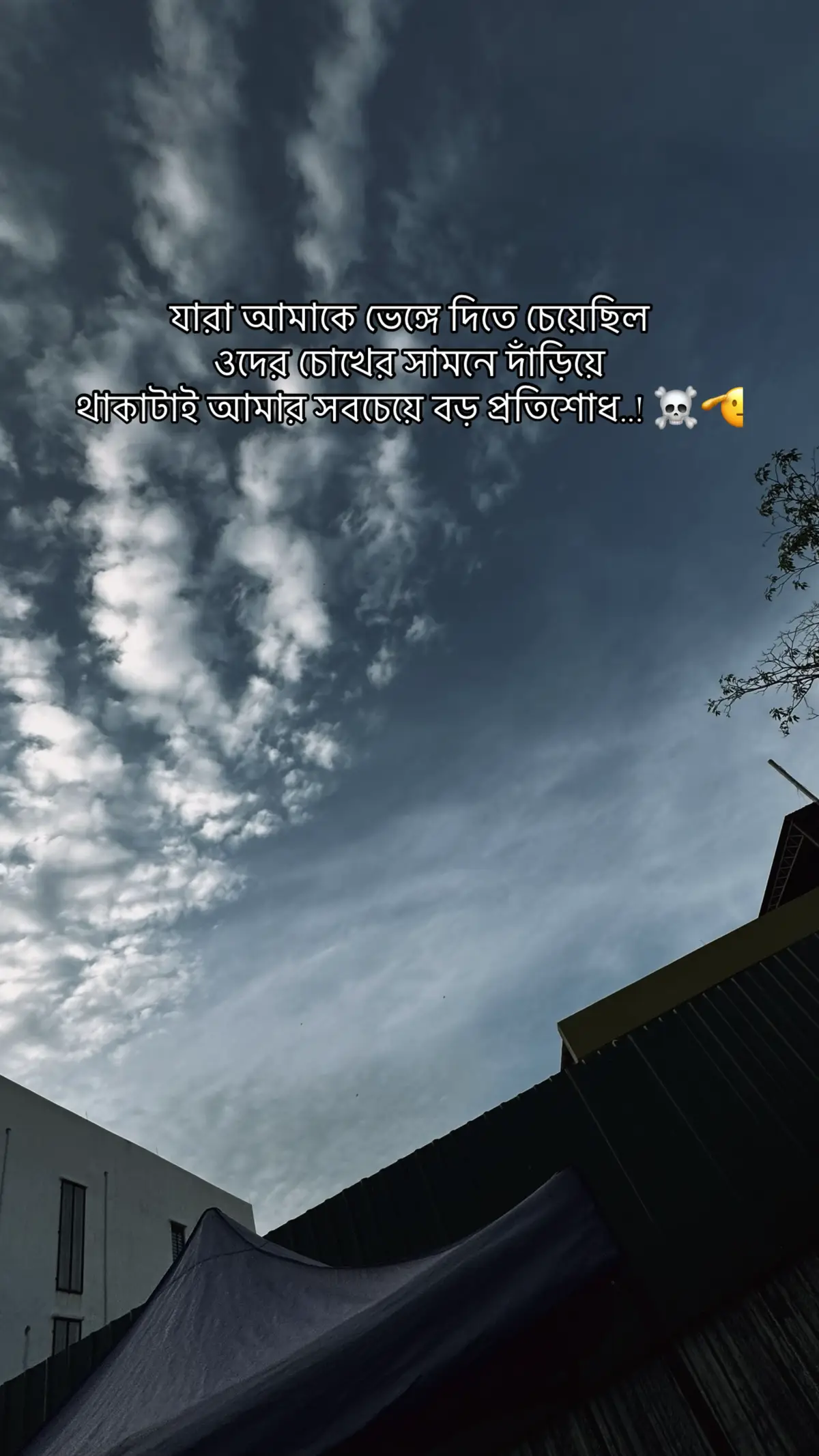 যারা আমাকে ভেঙ্গে দিতে চেয়েছিল ওদের চোখের সামনে দাঁড়িয়ে থাকাটাই আমার সবচেয়ে বড় প্রতিশোধ..! ☠️🫡#ভিডিওটা_ভাইরাল_করো 