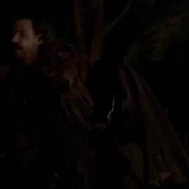 Lion s1 😢 #jaimelannister #gameofthrones #kingslayer #قيم_اوف_ثرونز 