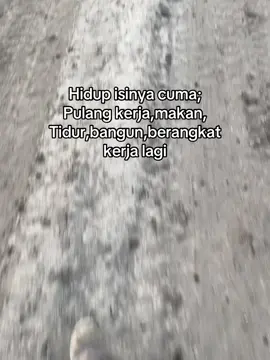 Kapan adegan romantis nya?😌#kuli#ztpi#trending#fyp 