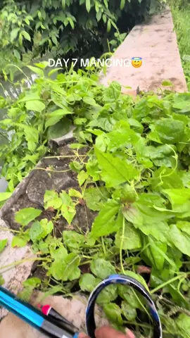 GAGE DO MUNI O #promomakanharian #mancinggalak #boncos 