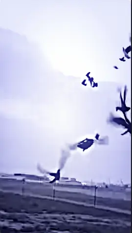 لزمن!!😂👋🏼••💤تفاعلو حبايب تونسو 😅 .  .  .  #ارفلي_ملك_الساحه🤫😏 #ارافل_العراق #طيور #ستوريات_منوعة🔥♥️ #لزمن!!😂👋🏼••💤  لزمن!!😂👋🏼••💤 .  لزمن!!😂👋🏼••💤 .  .  لزمن!!😂👋🏼••💤 .  .  لزمن!!😂👋🏼••💤