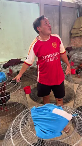 đụng ngay con cọp a3 đi ròi biết 🙈🙈